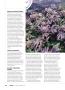 Page: - 110 | High Times