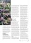 Page: - 111 | High Times