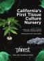 Page: - 123 | High Times