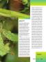 Page: - 105 | High Times