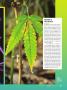 Page: - 107 | High Times