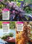 Page: - 122 | High Times
