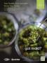 Page: - 17 | High Times