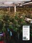 Page: - 19 | High Times