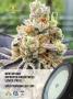 Page: - 4 | High Times