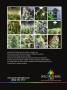 Page: - 49 | High Times