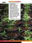 Page: - 78 | High Times
