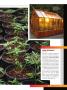Page: - 79 | High Times