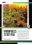 Page: - 84 | High Times