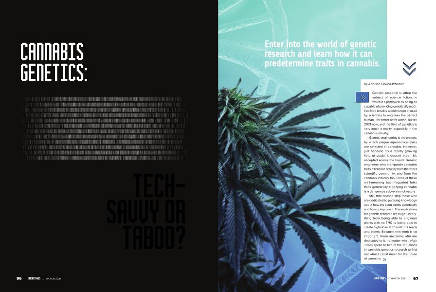 CANNABIS GENETICS: TECH-SAVVY OR TABOO?