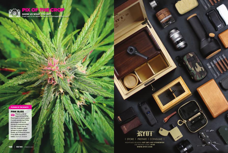 PIX OF THE CROP