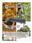 Page: - 25 | High Times
