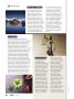 Page: - 26 | High Times