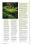 Page: - 50 | High Times