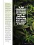 Page: - 51 | High Times