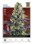 Page: - 7 | High Times