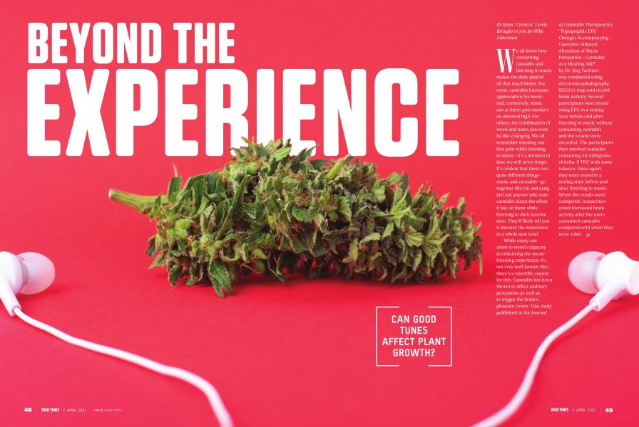BEYOND THE EXPERIENCE