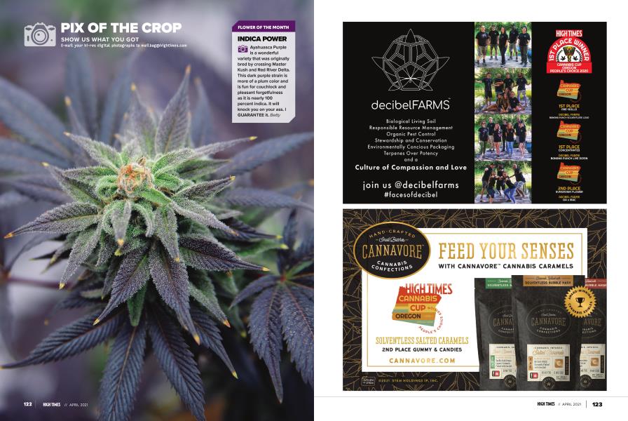 PIX OF THE CROP