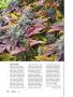 Page: - 112 | High Times