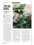 Page: - 24 | High Times