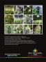 Page: - 31 | High Times