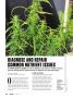 Page: - 32 | High Times