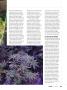 Page: - 33 | High Times