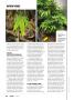 Page: - 34 | High Times