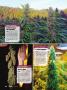 Page: - 66 | High Times