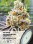 Page: - 71 | High Times