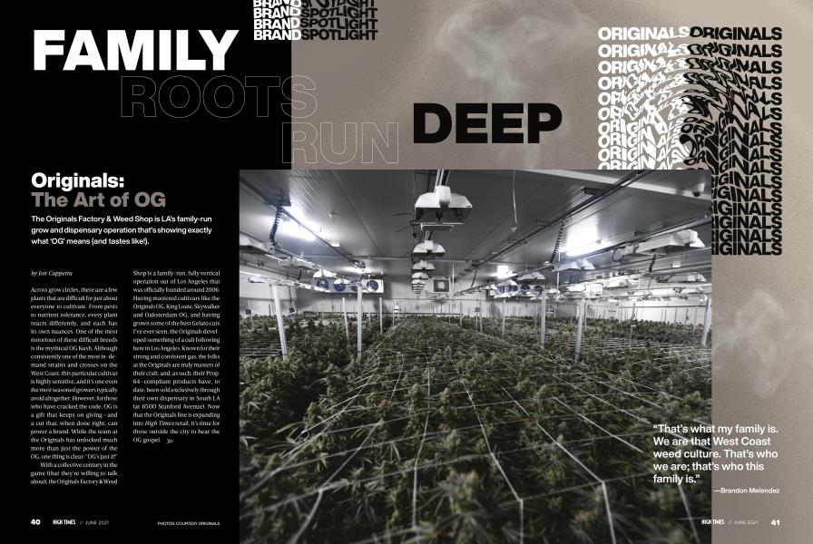 FAMILY ROOTS RUN DEEP