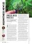 Page: - 104 | High Times