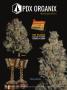 Page: - 111 | High Times