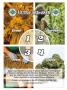 Page: - 27 | High Times