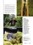 Page: - 31 | High Times