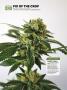 Page: - 64 | High Times