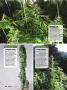 Page: - 66 | High Times