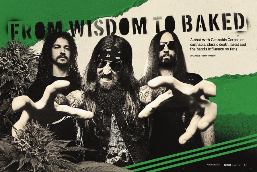 FROM WISDOM TO BAKED