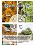 Page: - 25 | High Times