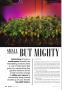 Page: - 34 | High Times