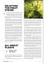 Page: - 38 | High Times