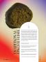 Page: - 74 | High Times