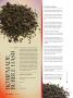 Page: - 76 | High Times