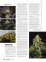 Page: - 102 | High Times