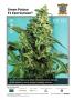 Page: - 13 | High Times