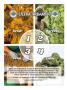 Page: - 45 | High Times