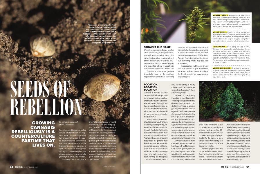 SEEDS OF REBELLION