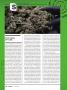 Page: - 46 | High Times
