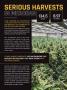 Page: - 6 | High Times