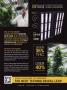 Page: - 7 | High Times